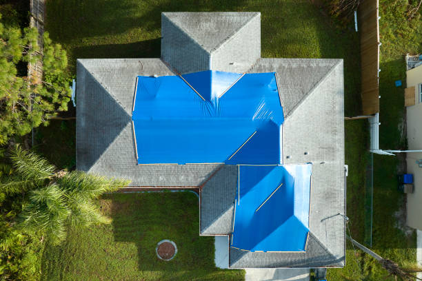 Best Skylight Installation and Repair  in Beaver Creek, TX